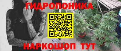 стаф Новодвинск