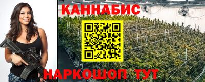 стаф Новодвинск