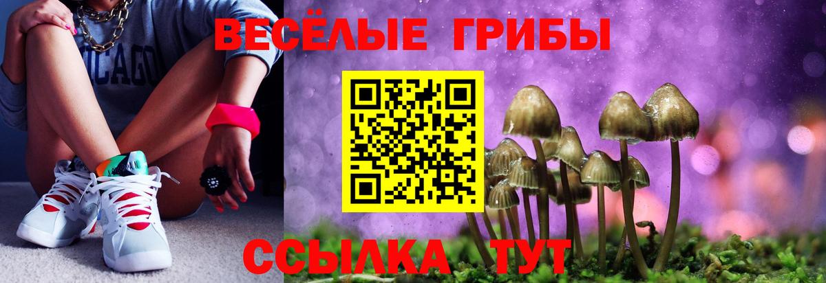Южно-Сахалинск  Псилоцибиновые грибы MAGIC MUSHROOMS  Галлюциногенные грибы мухоморы  Вход с VPN 